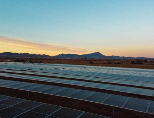 Explorando la Simbiosis Tecnológica y Natural: El Molino, Proyecto Solar en Fuente del Álamo, Murcia